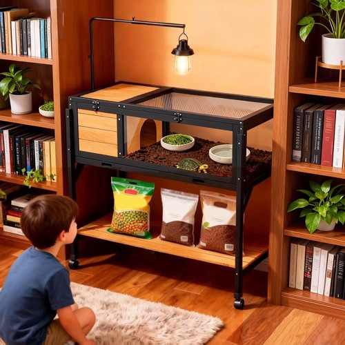 Tortoise habitat - tortoise,