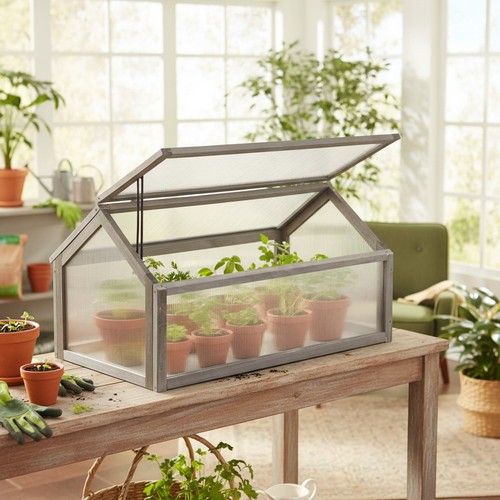 Wooden cold frame garden - wooden,