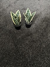 Artificial Potted Snake Plant X2 By IKEA Approx 21cm High In Pot