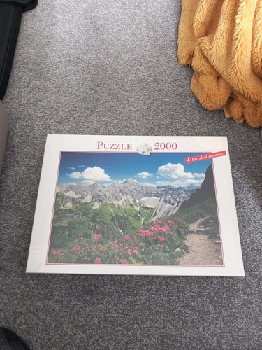 2000 piece jigsaw puzzle - 2000,