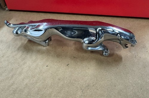 Jaguar leaping cat - jaguar,