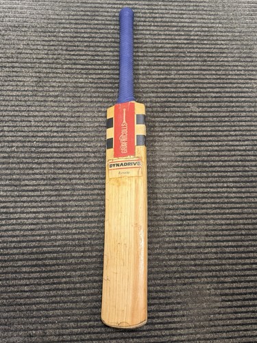 Rare gray nicolls dynadrive - gray,