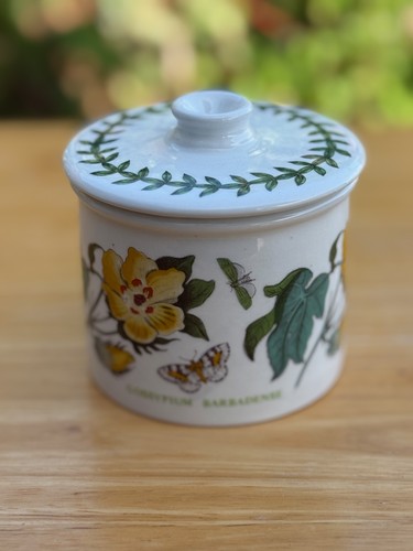 Vintage portmeirion botanic - portmeirion,