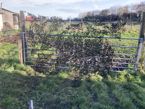 British army green camo net - green,