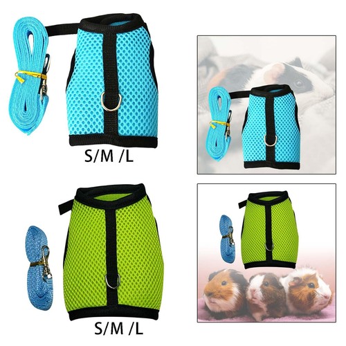 Harness and leash - harness,