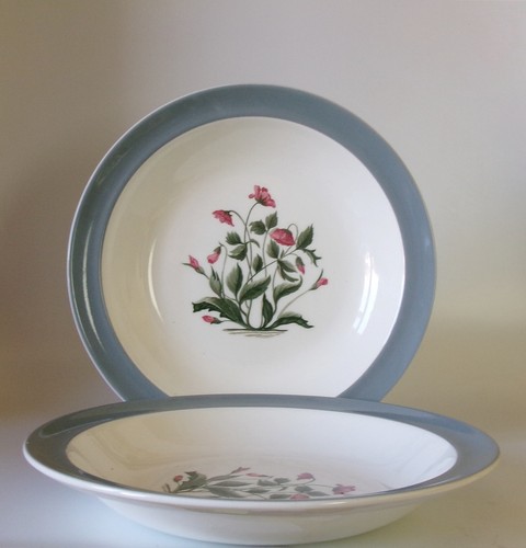 Two wedgwood mayfield grey - two,