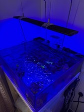 Frag Tank - Reef Casa Tide 12 Gallon Ful Kit - Marine Aquarium