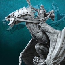 Dark Mage in Wyvern - Davale