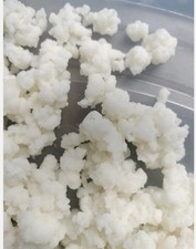  10g Tibetan culture milk kefir grain