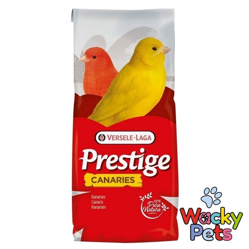 Versele laga canary - canary, breeding