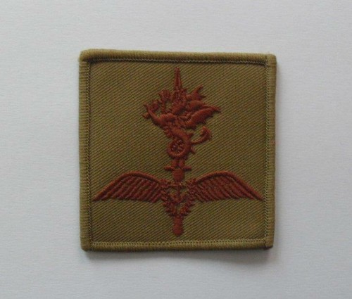 Royal navy badge - navy, the