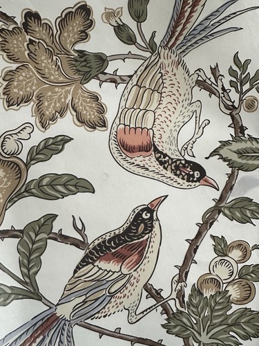 Warner house peacock trial - house,
