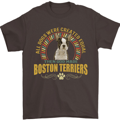 Boston terrier dog - boston,