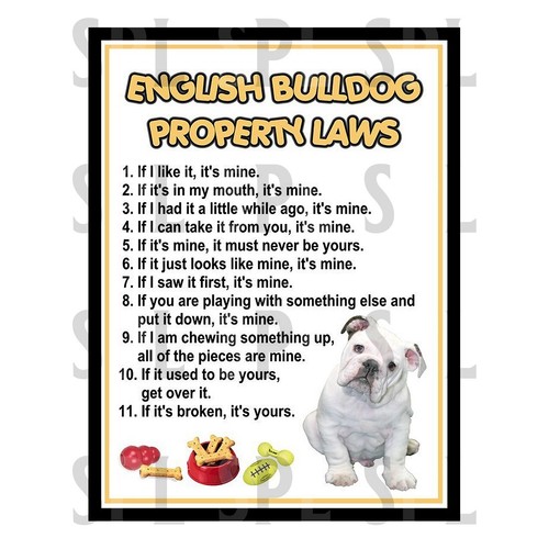 English bulldog laws metal - english,