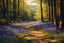 Bluebell Woodland Forest Canvas Picture Print Wall Art