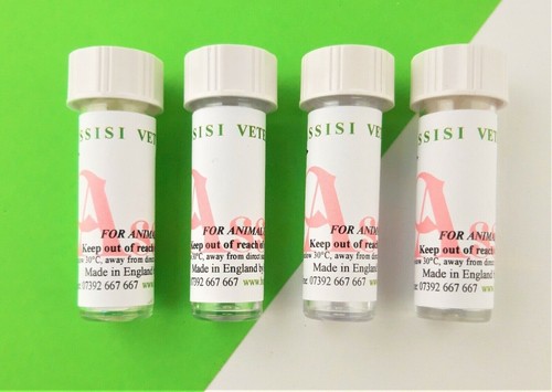 Mange treatment homeopathy kit - mange,