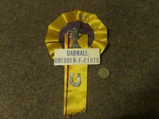 Original  DARNELL Dresden  FC   Cup Centre  FOOTBALL  Rosette  1975