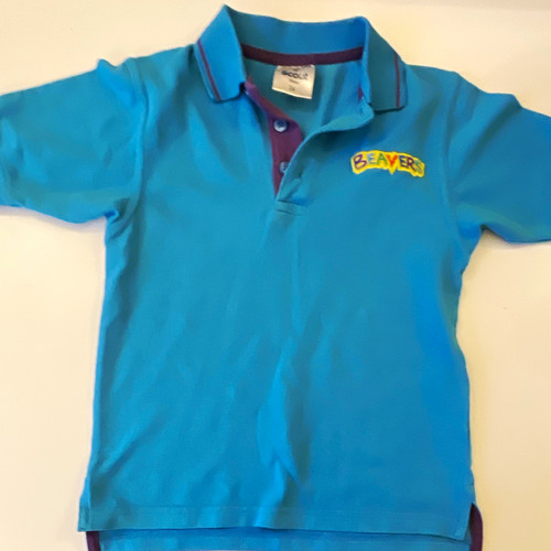 Scout store beavers - store, polo