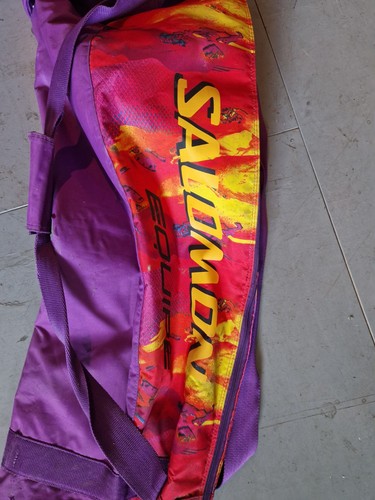 Ski bags job - bags,