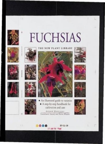 Fuchsias new plant - fuchsias, (new