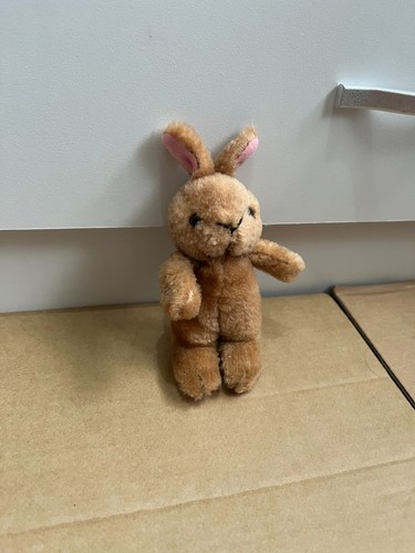 Brown pink ears - ears, feet