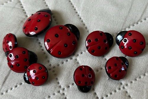 Ladybird ladybug shank buttons - ladybug,