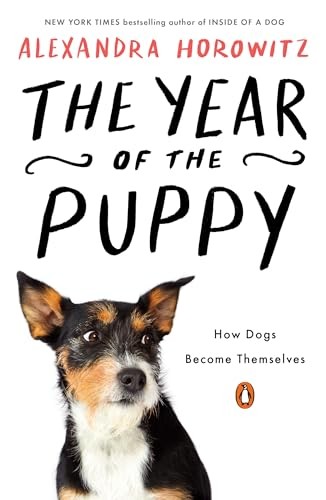 The year puppy how - of,