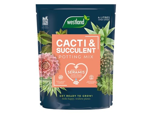 Westland cacti succulent - westland,