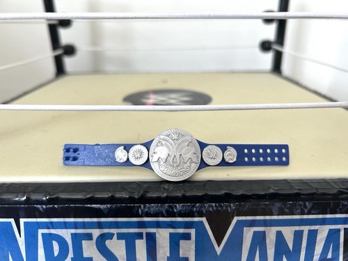 Wwe smackdown tag - tag, team