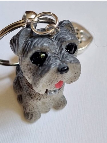 Beautiful bertie the - the, terrier
