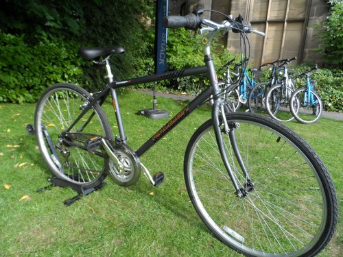 Raleigh pioneer bike - pioneer, 19"