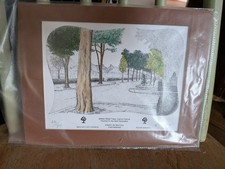 Limited Edition Prints Forest