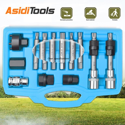 13pcs alternator freewheel - 13pcs,