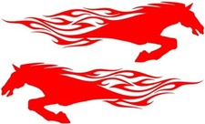 2x  xxl 36" horse box stickers