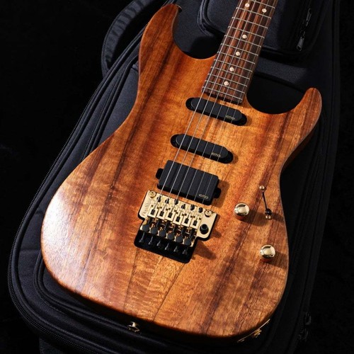 Suhr reb beach signature - beach,