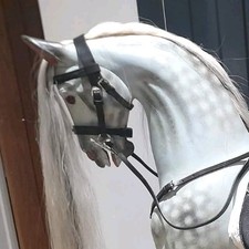Medium Stitched Bridle For