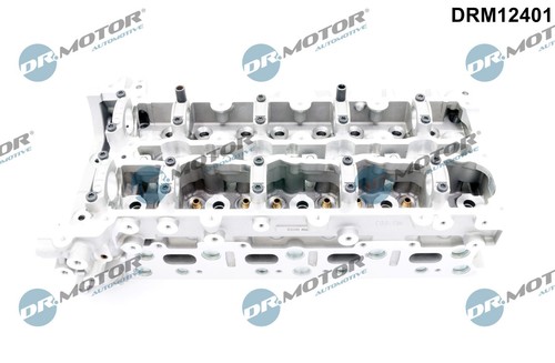 Cylinder head motor - head, dr.motor