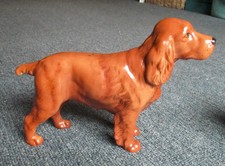 Beswick Cocker Spaniel Figurine No 967 HORSESHOE PRIMULA Brown Gloss 7. 1/2 inch