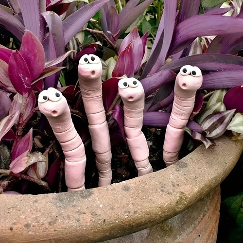 Cute thirsty worm plant decor - thirsty,