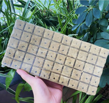 50pcs rockwool grow - 50pcs,