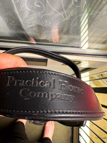Practical horse company bridle - horse,