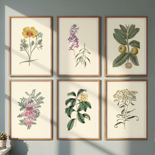 Set vintage botanical - of,