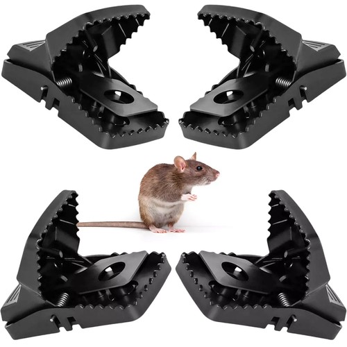 Pro rat traps humane kill - pro,
