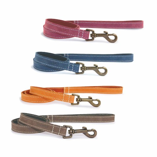 Timberwolf leather dog - leather, lead