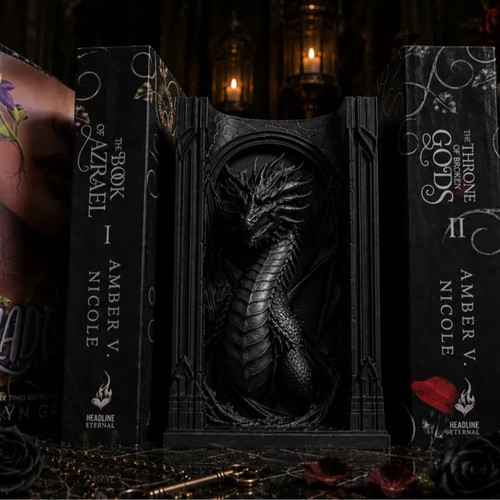 Epic dragon book nook - book,