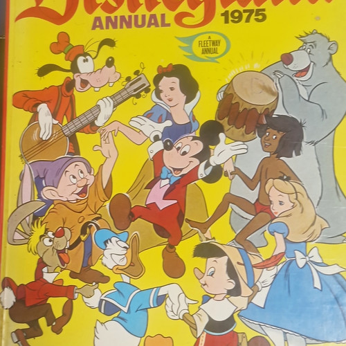 Fleetway disneyland annual - fleetway,