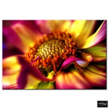 Floral Flowers BOTANICAL   BOX