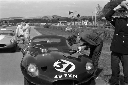 Peter lumsden jaguar - lumsden,,