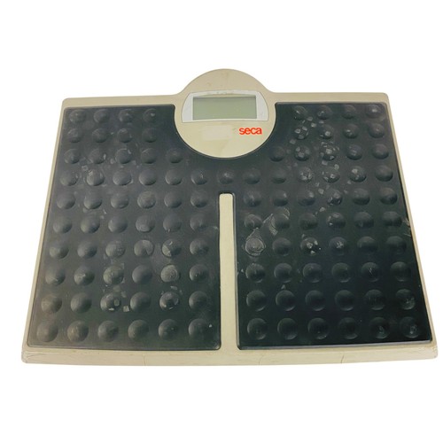 Seca 813 high capacity digital - high,