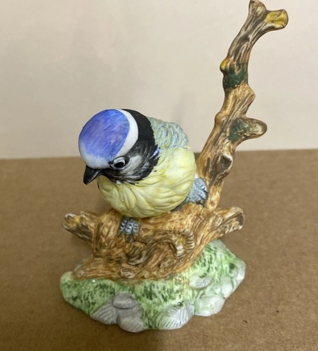 Blue tit sitting tree - blue,